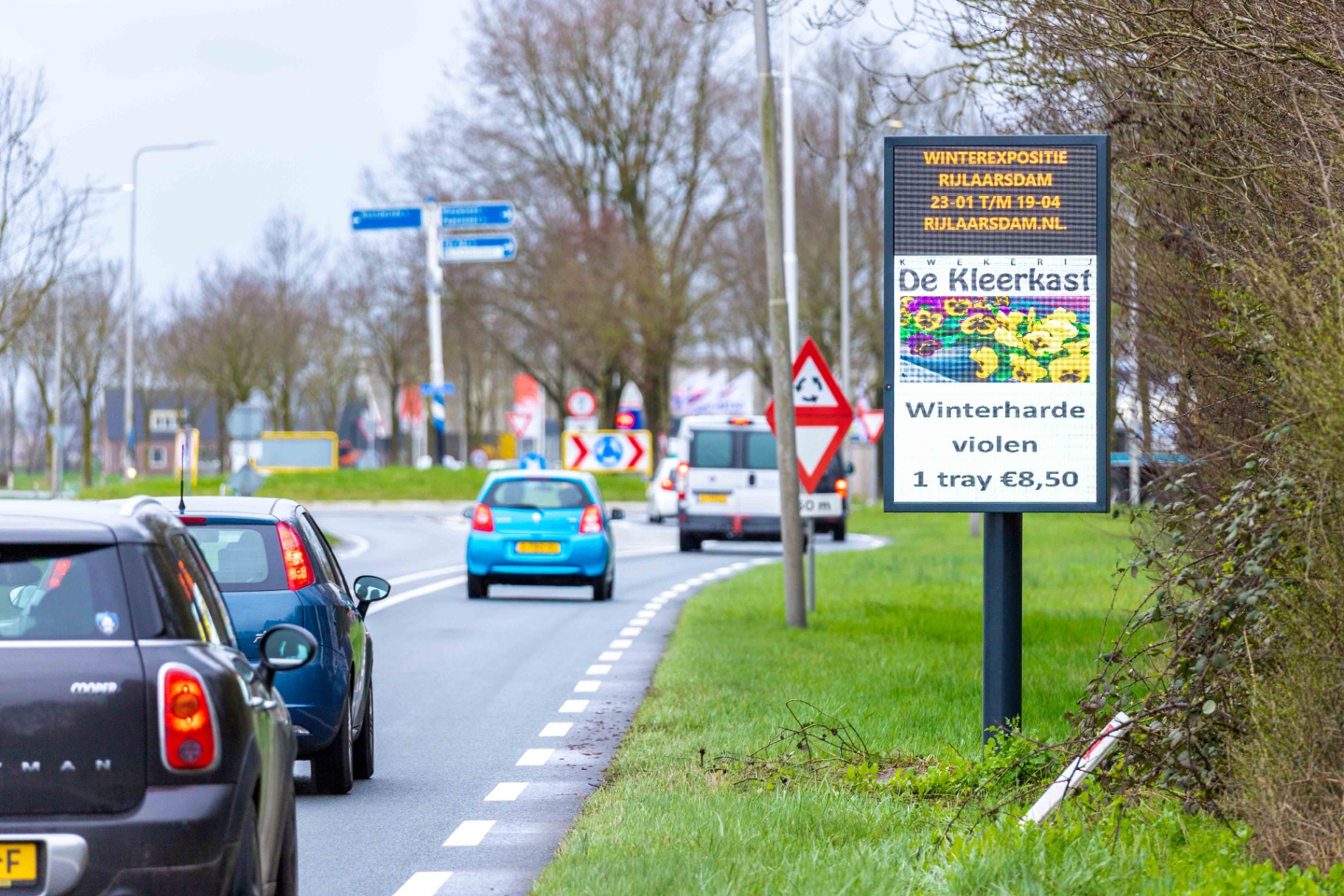 Kwekerij De Kleerkast — Winterexpositie Rijlaarsdam